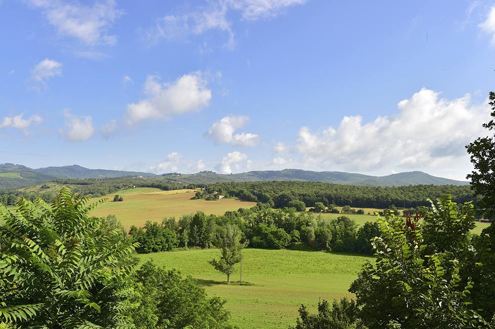 campagna toscana